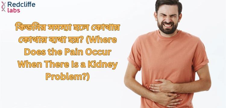 কিডনির সমস্যা হলে কোথায় কোথায় ব্যথা হয়?