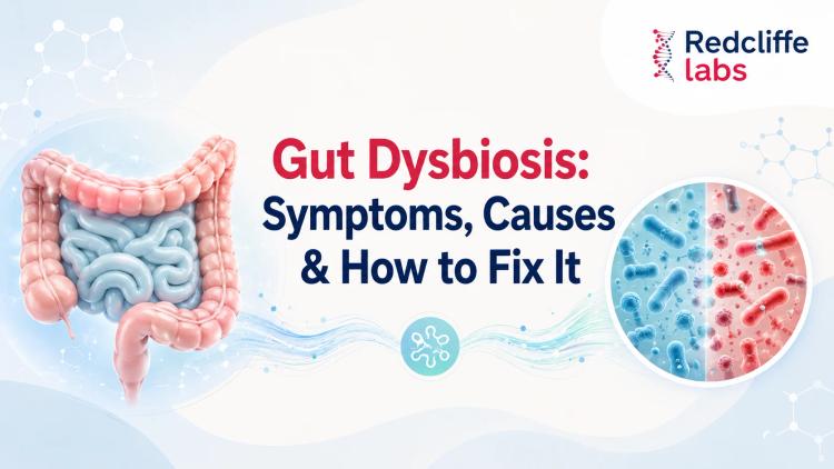 Gut Dysbiosis: Symptoms, Causes & How to Fix It