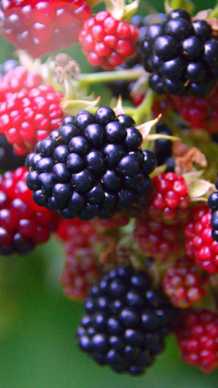 10 High-Carb Foods That Are Healthy