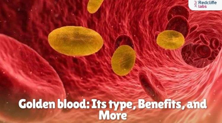 Golden Blood: Its type, Benefits, and More