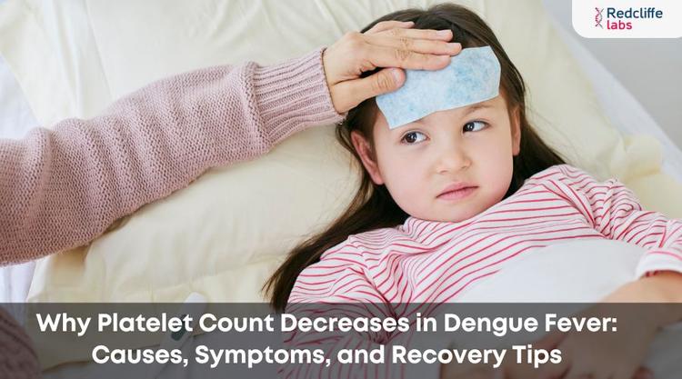 Why Platelet Count Decreases in Dengue Fever: Causes, Symptoms, and Recovery Tips
