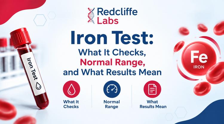 Iron Test: What It Checks, Normal Range, and What Results Mean