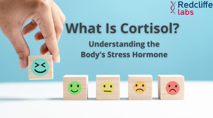 What Is Cortisol? Understanding the Body's Stress Hormone