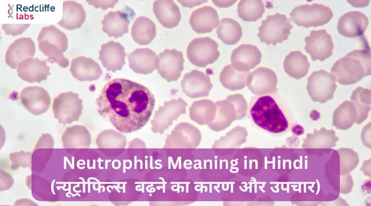 Neutrophils Meaning in Hindi (न्यूट्रोफिल्स बढ़ने का कारण और उपचार)