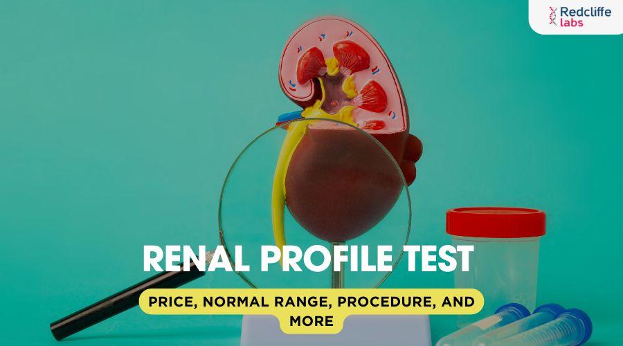 Renal Profile Test: Price, Normal Range, Procedure, and More