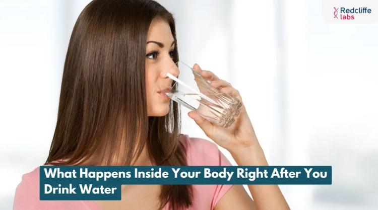 What Happens Inside Your Body Right After You Drink Water