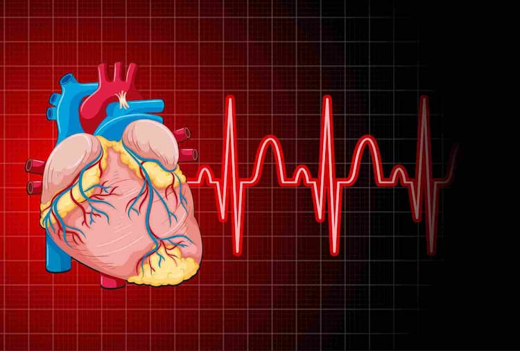 What Causes Heart Palpitations? : Know Details
