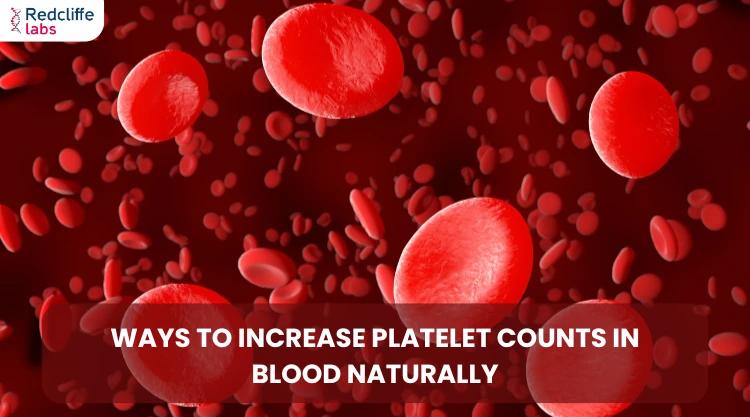 Ways to Increase Platelet Counts in Blood Naturally