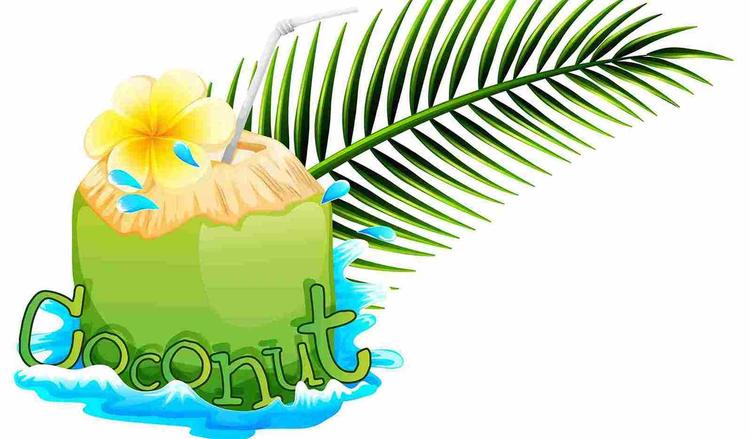 A Comprehensive Guide to the Nutritional Value of Coconut Water