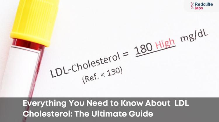 Everything You Need to Know About LDL Cholesterol: The Ultimate Guide