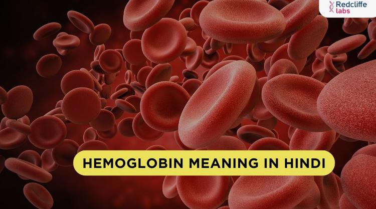 Hemoglobin Meaning in Hindi: हीमोग्लोबिन का अर्थ और इसकी पूरी जानकारी