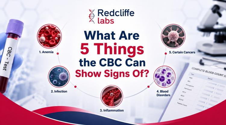 What are 5 things the CBC can show signs of?