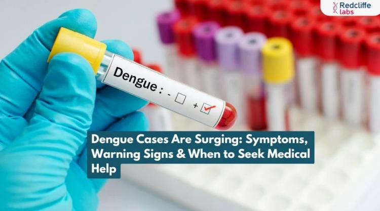 Dengue Cases Are Surging: Symptoms, Warning Signs & When to Seek Medical Help