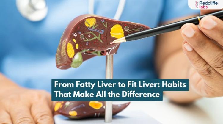 From Fatty Liver to Fit Liver: Habits That Make All the Difference