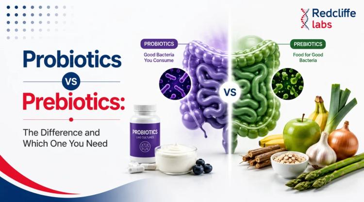 Probiotics vs Prebiotics: The Difference and Which One You Need