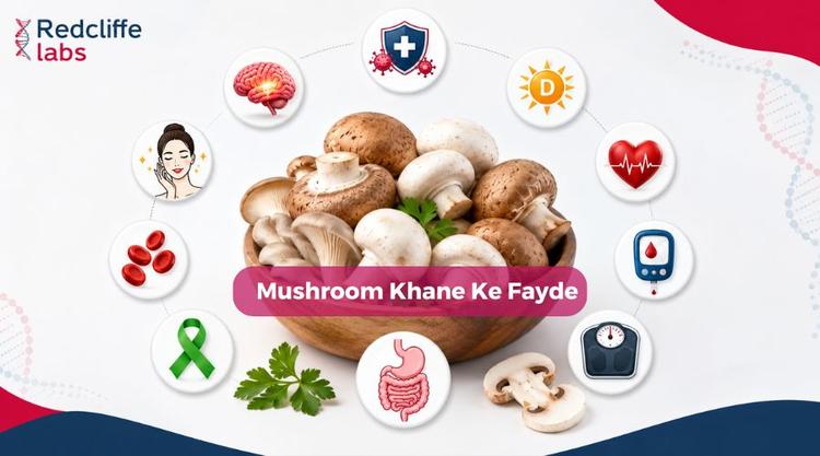 Mushroom Khane Ke Fayde: मशरूम खाने के फायदे