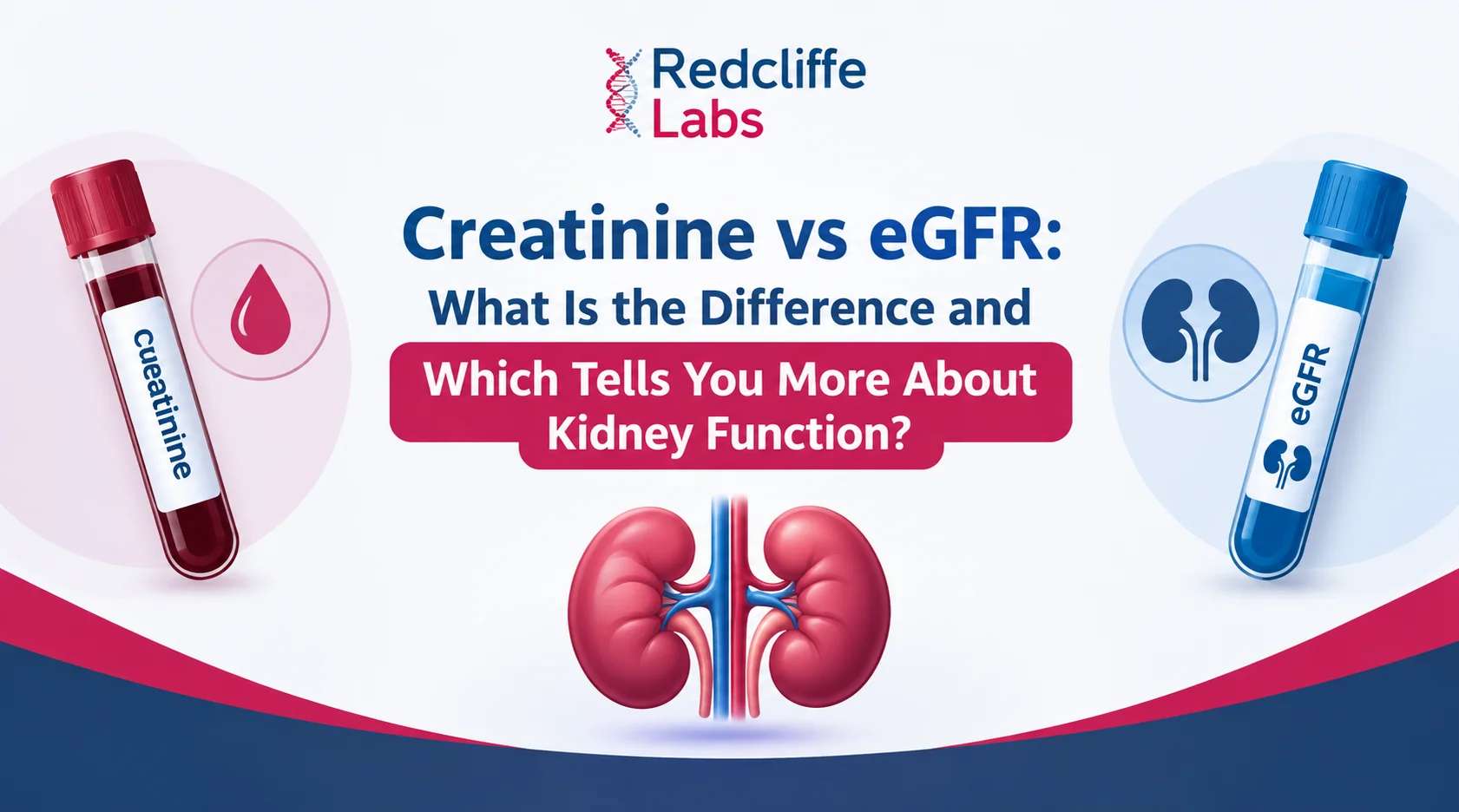Creatinine vs eGFR: What Is the Difference and Which Tells You More About Kidney Function?