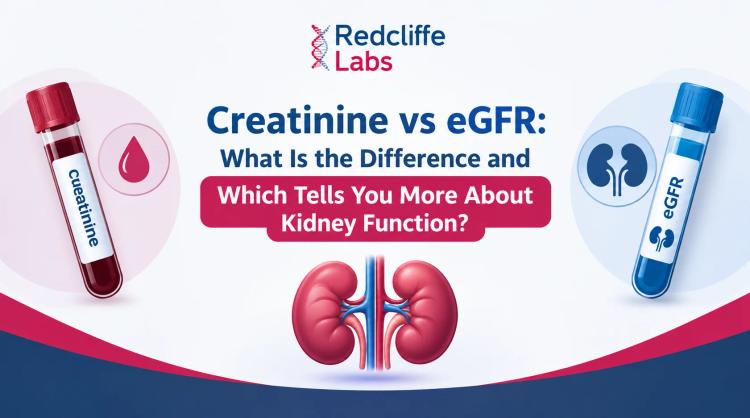 Creatinine vs eGFR: What Is the Difference and Which Tells You More About Kidney Function?