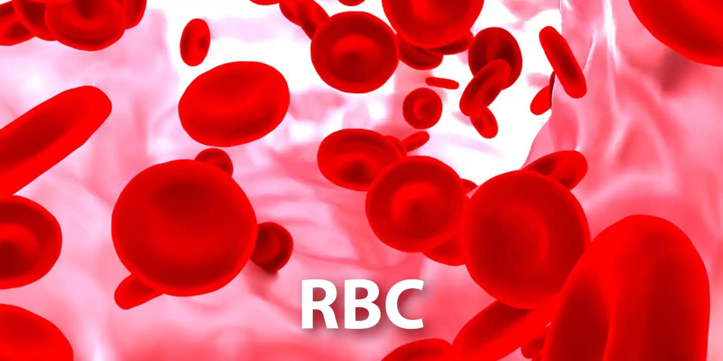 RBC Normal Range What is the Normal Red Blood Cell Count in Male and ...