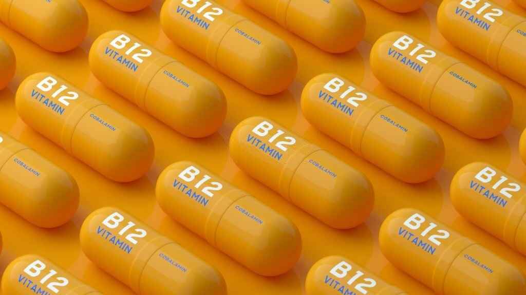 Vitamin B12 Rich Foods Vegetarian: Best Health Tips