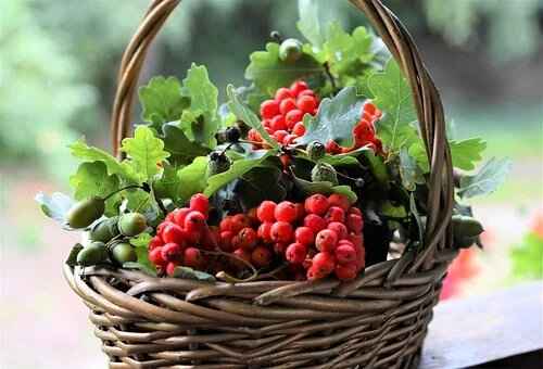 Fruits for Diabetes Patients in India: 10 best low sugar fruits