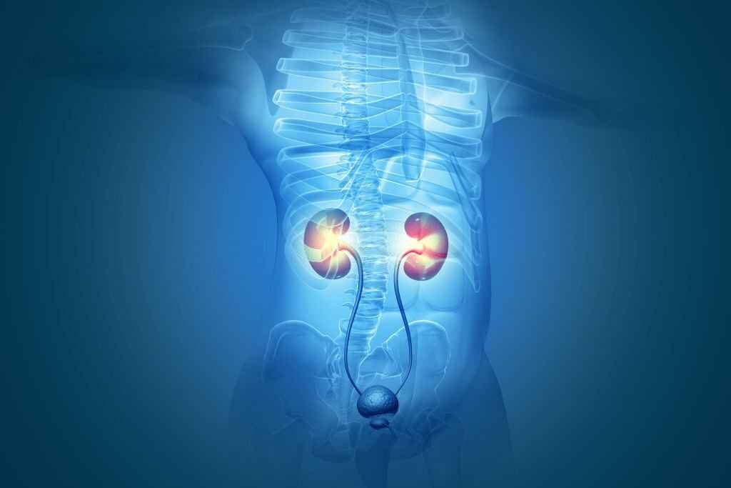 Pus Cells in Urine: Normal Range, Causes, & Treatment