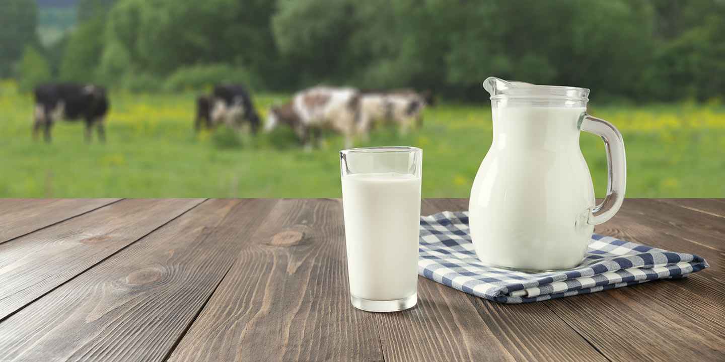 Lumpy skin disease? Is it safe to consume milk?