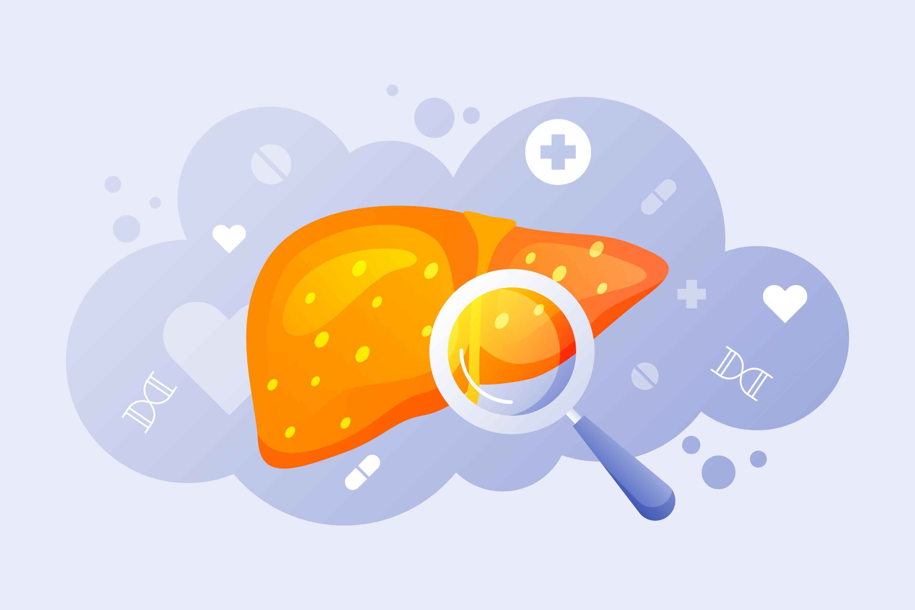 How to Reduce SGPT Level Quickly?