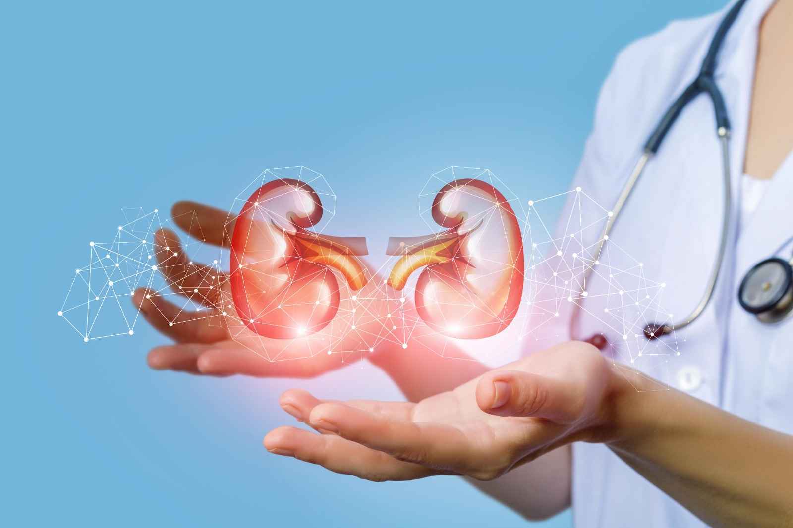 How To Reduce Creatinine Levels?