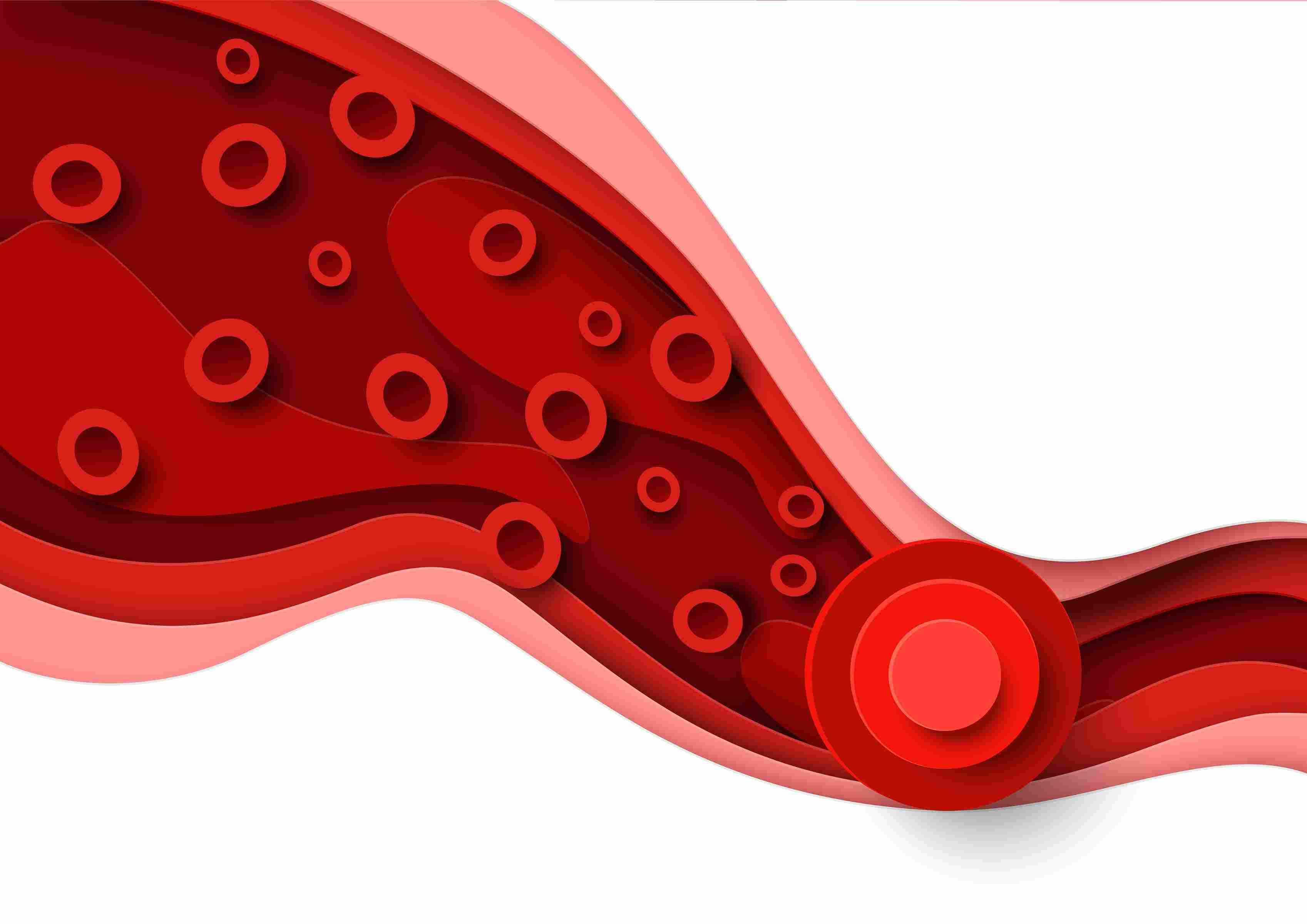 How Much Hemoglobin Should be Present in the Human Body?