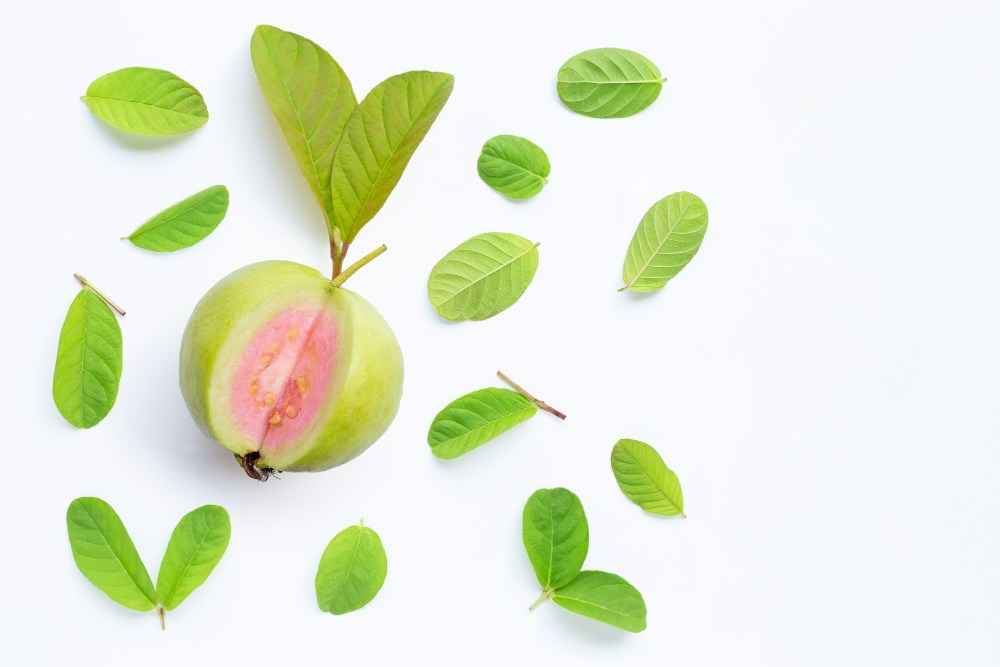 Amazing Health Benefits Of Guava Leaves In Daily Routine