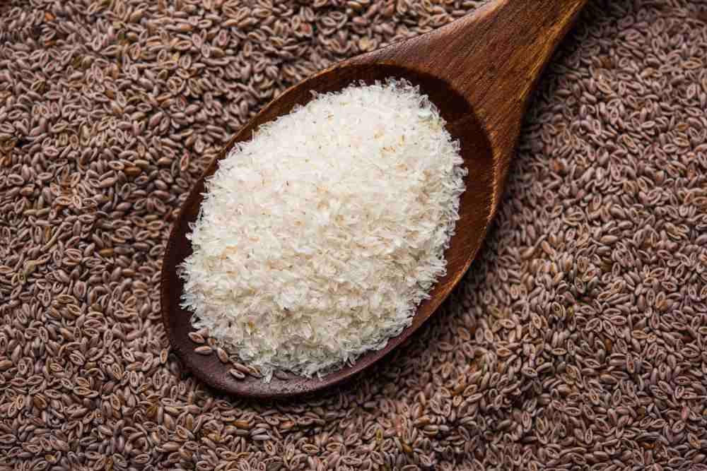 Isabgol Health Benefits, Dosage, & Side Effects