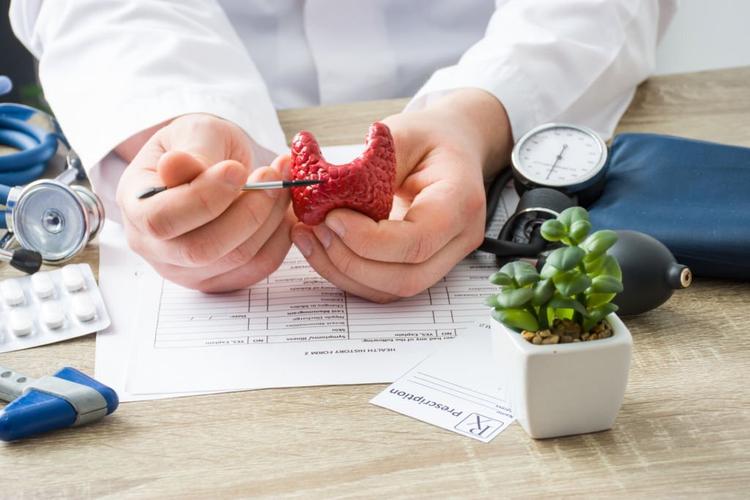 Thyroid Profile Test: Price in India, How to Book the Home Test Online to Check Your T3, T4, and TSH Levels