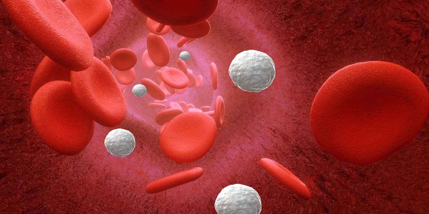 WBC Count: Normal Range of WBC, When is it Abnormal?