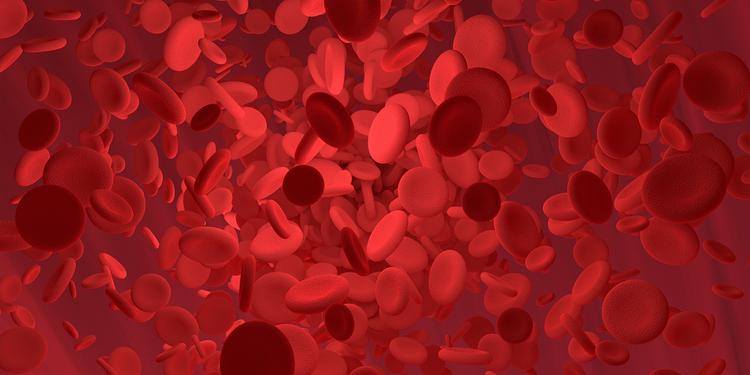 RDW Blood Test: Normal Range, What does low and high RDW Indicate, Cost in India