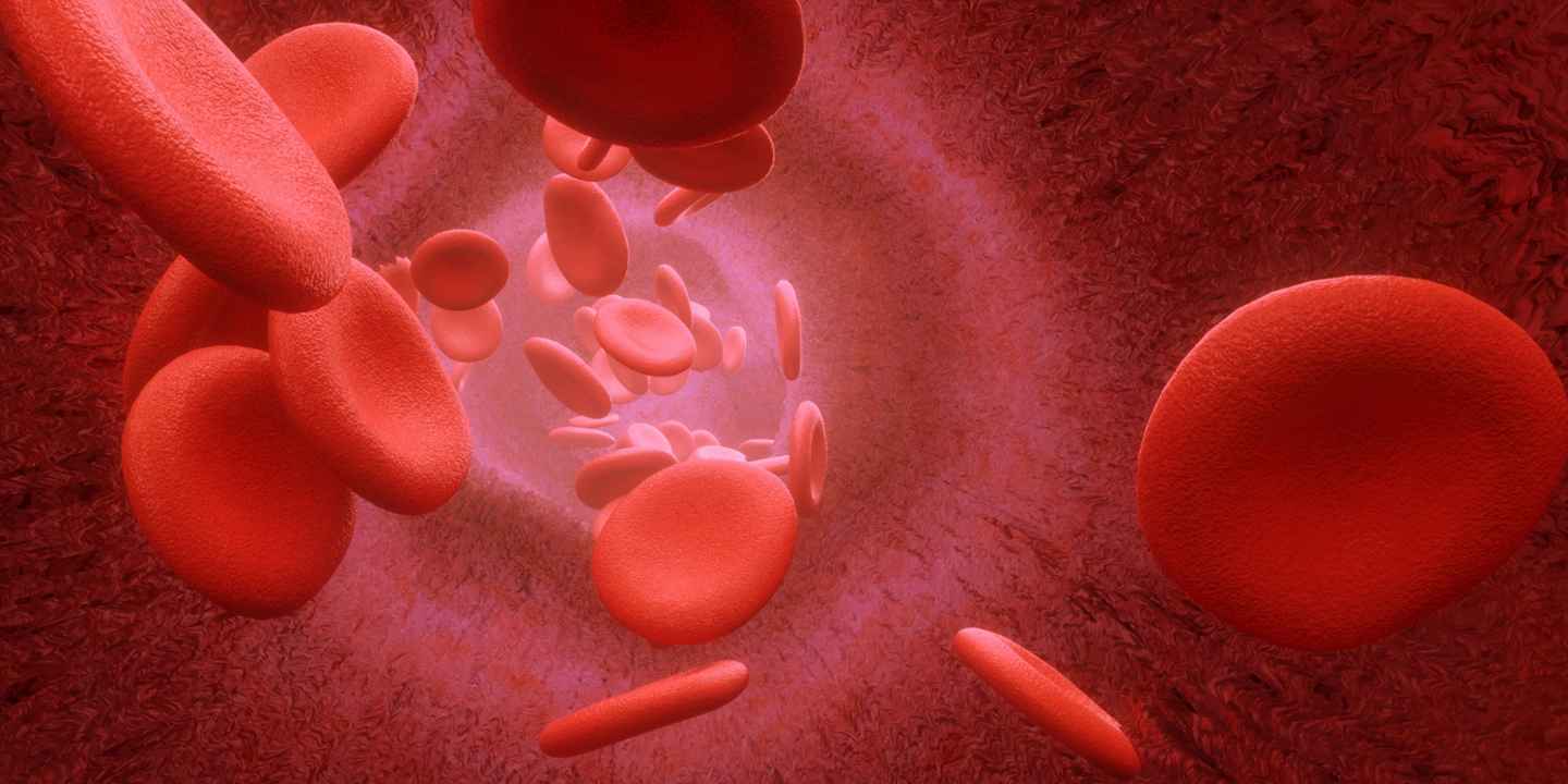 ESR Test - Normal Range, Purpose, Procedure, Causes, & More