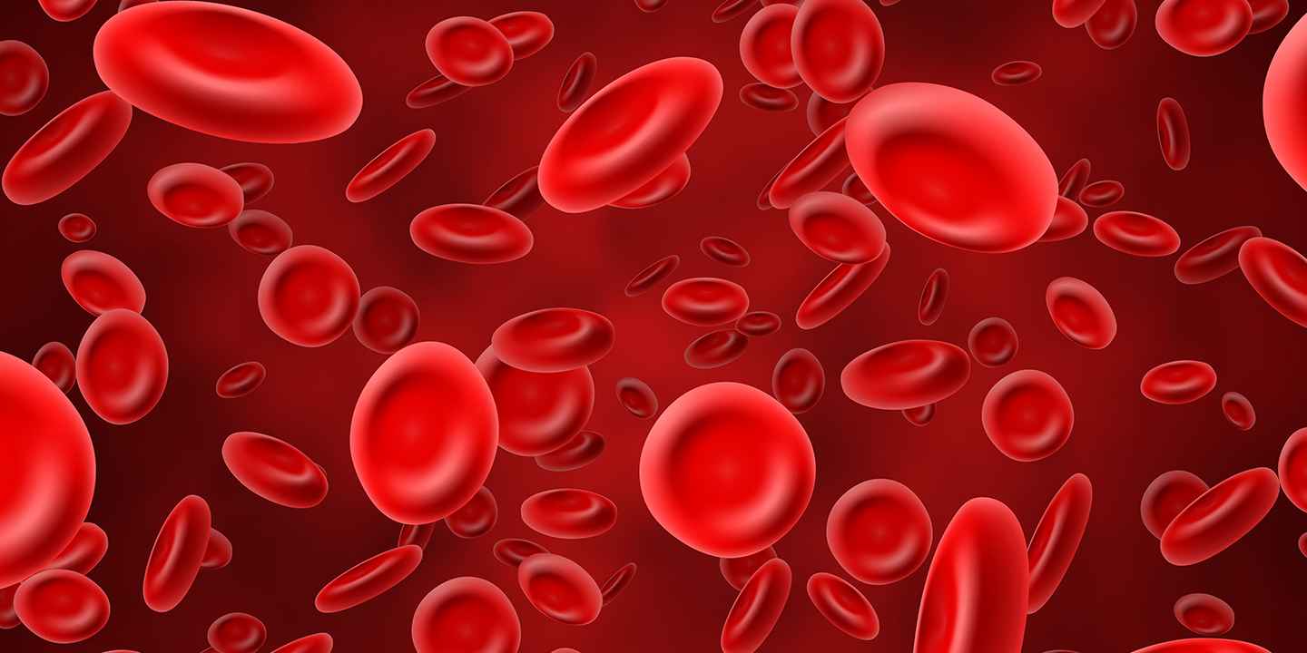 MCV Blood Test: Normal Range & Other Details
