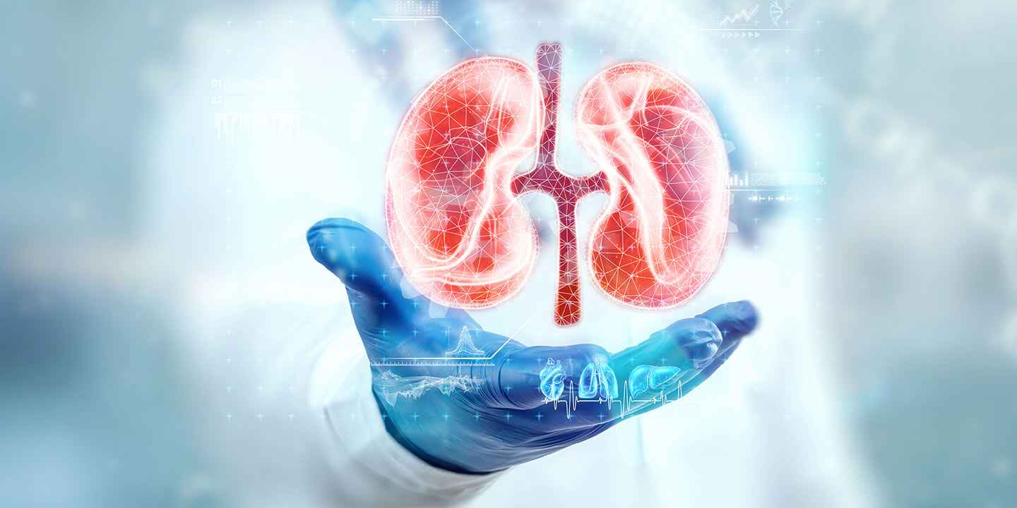 Know Your Kidney Numbers: Two Simple Diagnostic Tests for Kidney Health Screening