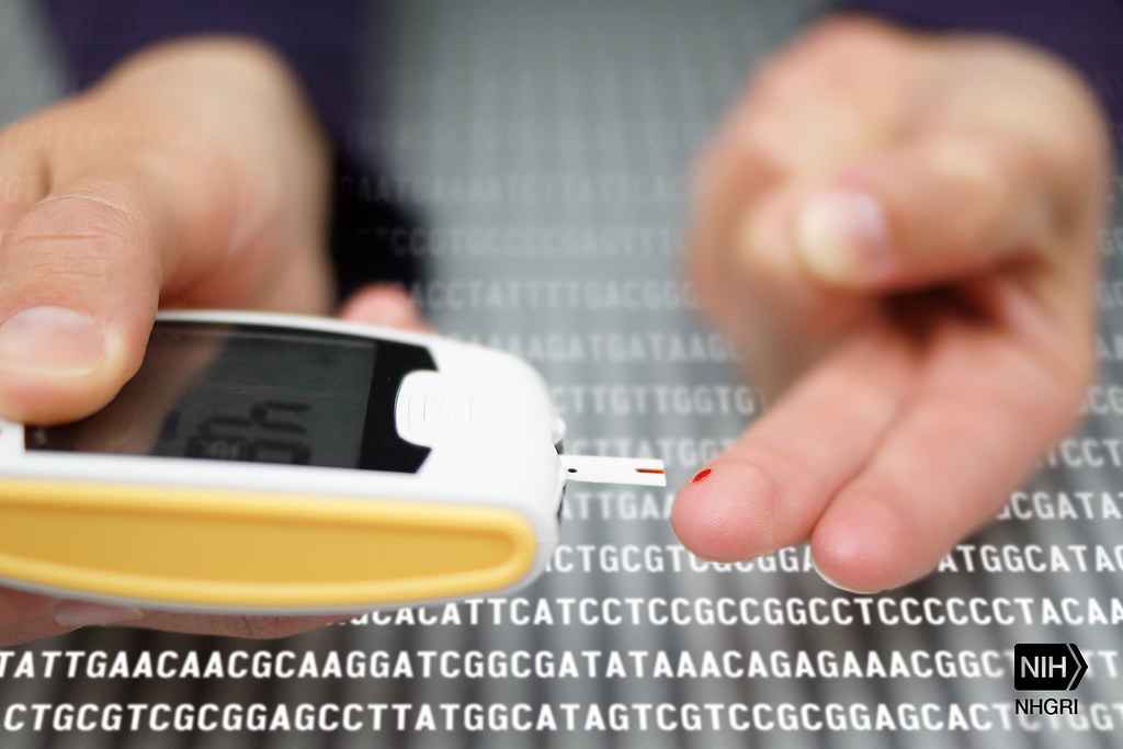 Elevated Blood Fat Levels in Type-2 Diabetics and Obese People Linked with Adversities: Study Reveals