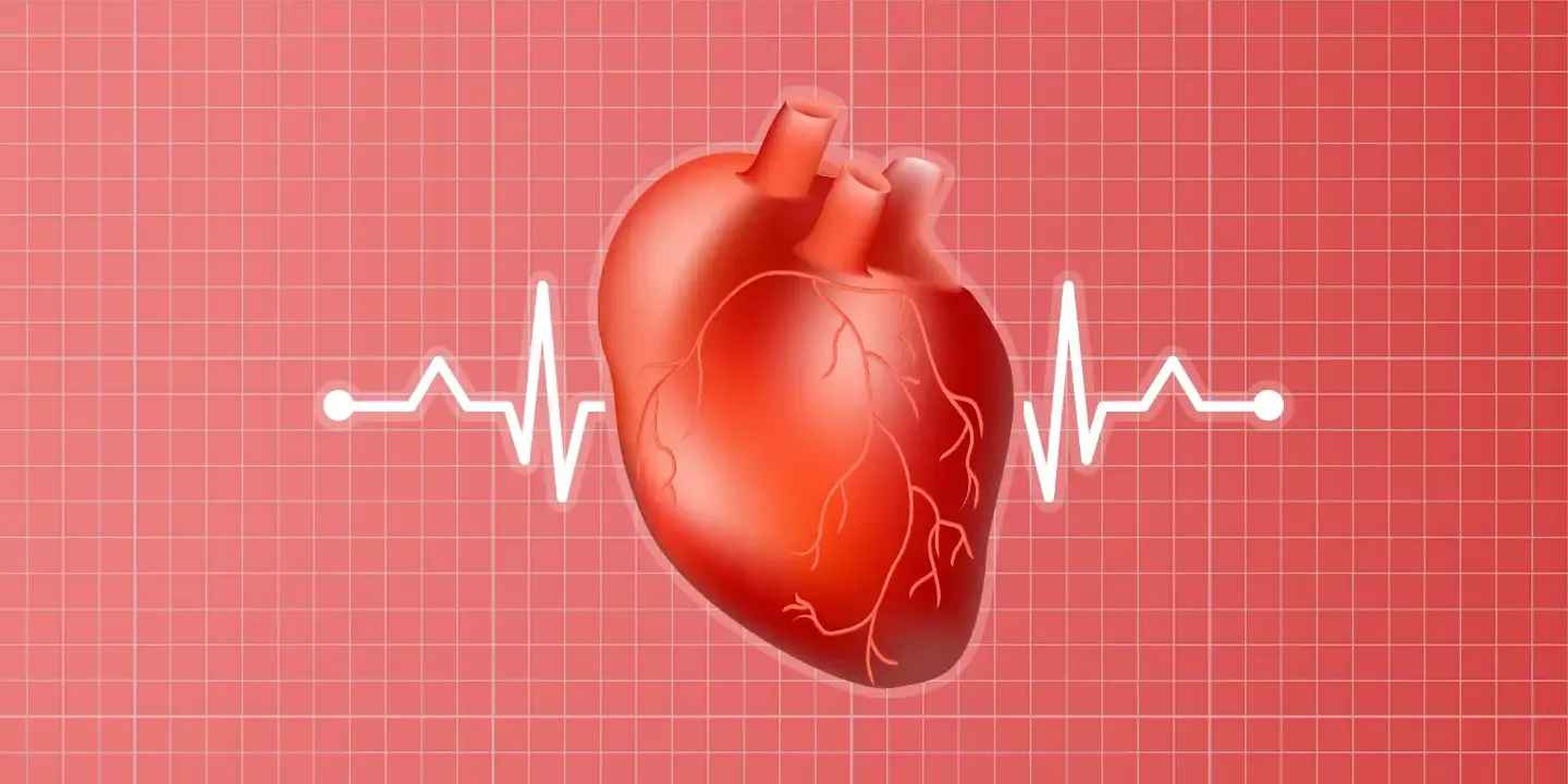 हृदय परीक्षण: हृदय रोगों और समस्याओं का पता लगाने के लिए किए जाने वाले चिकित्सा परीक्षण