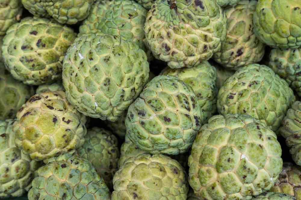 Sweet and Healthy: The Surprising Health Benefits of Custard Apple