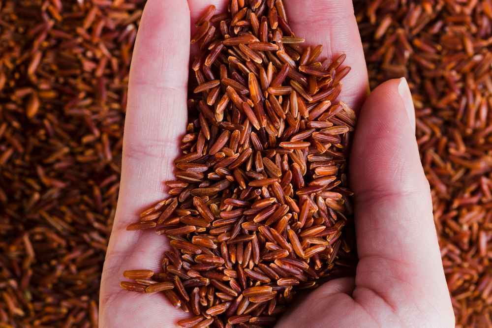 Red Rice Benefits: India’s Secret to Healthy Life