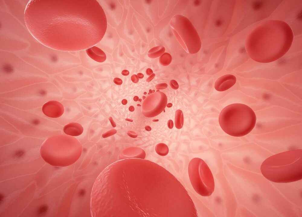 Platelet Count in Hindi – प्लेटलेट काउंट की पूरी जानकारी हिंदी में
