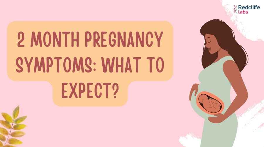 2 Month Pregnancy Symptoms: What to Expect?