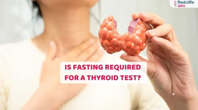 Is Fasting Required for a Thyroid Test?