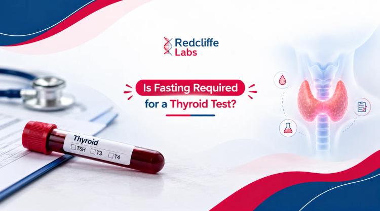 Is Fasting Required for a Thyroid Test?