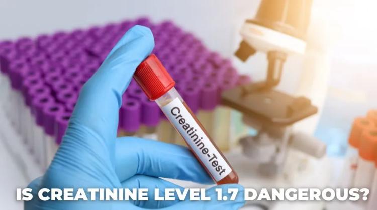 Is Creatinine Level 1.7 Dangerous?