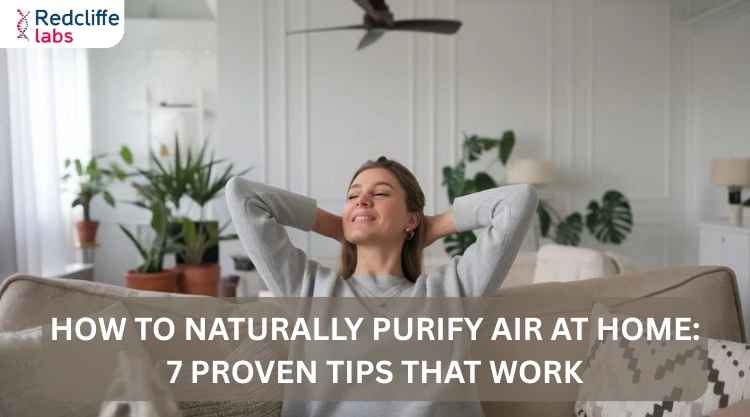How to Naturally Purify Air at Home: 7 Proven Tips That Work
