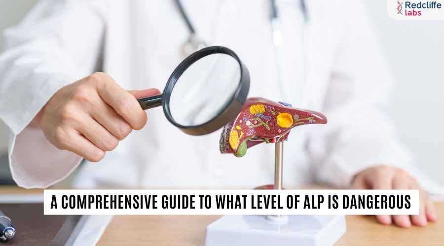 A Comprehensive Guide to What Level of ALP is Dangerous