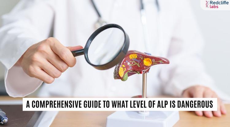A Comprehensive Guide to What Level of ALP is Dangerous